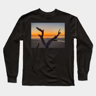 Color Driftwood Praise Long Sleeve T-Shirt